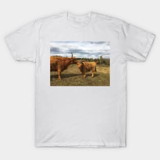 Scottish Highland Cattle Cow and Calf 1983 T-Shirt